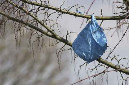 plastic_bags_trees2_web